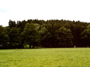 Schwandenholz (2002)